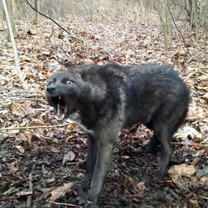 Meet your Posher, Jay